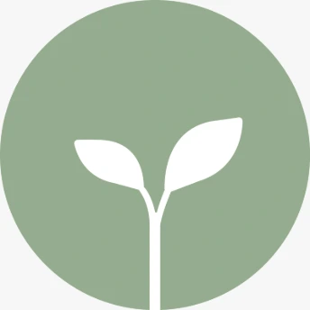 My Website